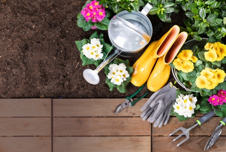 Аптечка для дачи