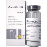 Купить амикацин, порошок для приготовления раствора для внутривенного и внутримышечного введения 1г, флакон в Кстово