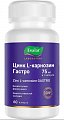 Купить цинк l-карнозин гастро, капсулы 60 шт бад в Кстово