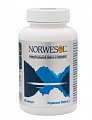 Купить норвесол омега 3, капсулы 500мг 60 шт. бад в Кстово