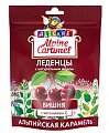 Купить alpine caramel (альпийская карамель) леденцы детские вишня с медом и витамином с , 75г бад в Кстово