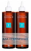 Купить система 4 (system 4), тоник терапевтический т для нормальной и жирной кожи головы, 500мл 2шт в Кстово