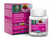 Купить эхинацея пурпурная с витаминами с и е экстракт вис, капсулы массой 350мг, 30 шт бад в Кстово