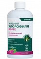 Купить snow sea хлорофилл форте жидкий со вкусом малины и мяты, 450 мл бад в Кстово