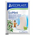 Купить ecoplast ecoment пластырь перцовый с ментолом 10 х 15см в Кстово