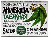 Купить живица таежная, жевательная резинка с эвкалиптом, 5 шт в Кстово