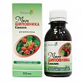 Купить шиповника масляный экстракт для приема внутрь, флакон, 100мл бад в Кстово
