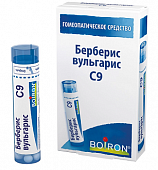Купить берберис вульгарис с9 гранулы гомеопатические 4г в Кстово