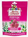 Купить alpine caramel (альпийская карамель) леденцы детские малина с медом и витамином с , 75г бад в Кстово