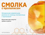 Купить витатека (vitateka) смолка жевательная лиственничная с прополисом, 5 шт  в Кстово