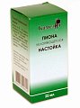 Купить пиона настойка, флакон 25мл в Кстово