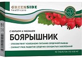 Купить green side (грин сайд) боярышник с калием и магнием, таблетки  40 шт. бад в Кстово