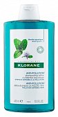 Купить klorane (клоран) шампунь-детокс с экстрактом водной мяты, 400мл в Кстово