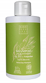 Купить mario fissi (марио фисси) 1937 шампунь для волос восстановление баланса с маслами чайного дерева и грейпфрута, 300мл в Кстово