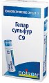 Купить гепар сульфур с9, гомеопатический монокомпонентный препарат минерально-химического происхождения, гранулы гомеопатические 4 гр  в Кстово
