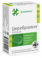 Купить цитамины церебрамин классик, таблетки покрытые кишечнорастворимой оболочкой массой 155мг, 40 шт бад в Кстово