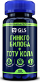 Купить gls (глс) гинкго билоба+готу кола, капсулы массой 380мг, 90шт бад в Кстово