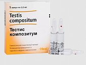 Купить тестис композитум, раствор для внутримышечного и подкожного введения гомеопатический 2,2мл, ампулы 5шт в Кстово