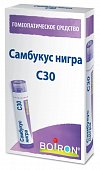 Купить самбукус нигра с30, гомеопатический монокомпонентный препарат растительного происхождения, гранулы гомеопатические 4 гр в Кстово