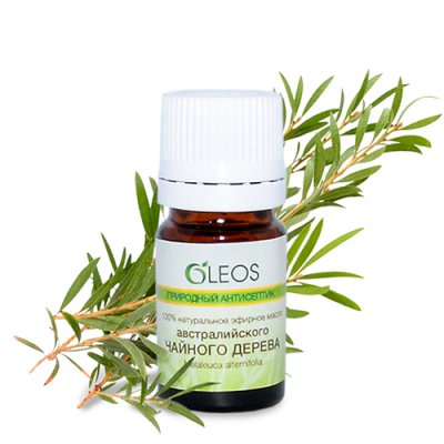 Купить oleos (олеос) природный антисептик косметическое масло австралийского чайного дерева, 5мл в Кстово