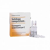 Купить солидаго композитум с, раствор для внутримышечного введения гомеопатический 2,2мл, ампулы 5шт в Кстово