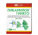 Купить пикамилон гинкго, капсулы 40мг+20мг, 50 шт в Кстово
