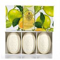 La Florentina (Ла Флорентина) набор: мыло Цитрус 150 г 3шт