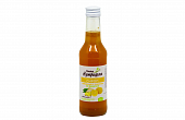 Купить сироп имбирный на фруктозе с лимоном доктор нутришин, флакон 250мл бад в Кстово